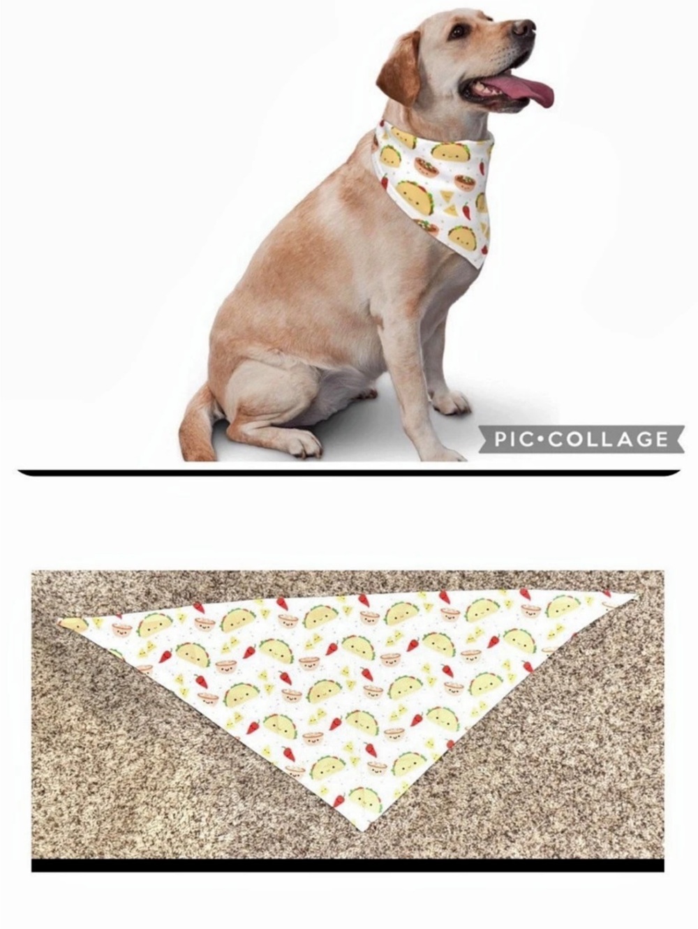 Dog Taco Bandana